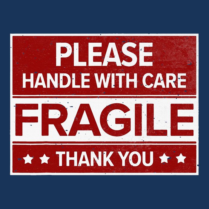 Fragile Please Handle With Care Sensitive Personality Infant Baby Jersey Bodysuit