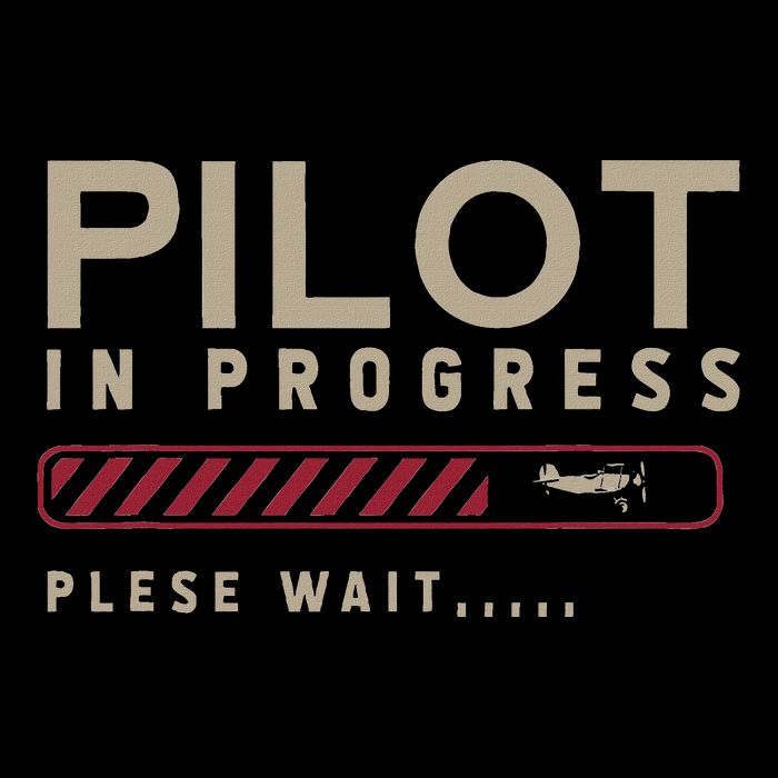 Funny Pilot In Progress Please Wait Future Pilot Hoodie