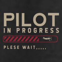 Funny Pilot In Progress Please Wait Future Pilot Knit Cap Winter Beanie