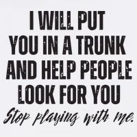 Funny Put In Trunk Saying I Will Put You In A Trunk Hoodie