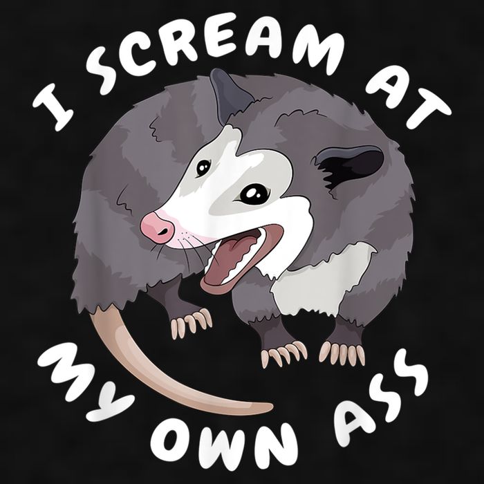 Funny Possum I Scream At My Own Trash Cat Opossum Meme Ladies PosiCharge Tri-Blend Wicking Tank