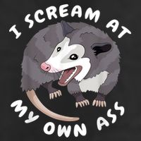 Funny Possum I Scream At My Own Trash Cat Opossum Meme Cool Comfort Performance Bucket Hat