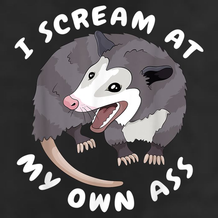 Funny Possum I Scream At My Own Trash Cat Opossum Meme Cool Comfort Performance Bucket Hat