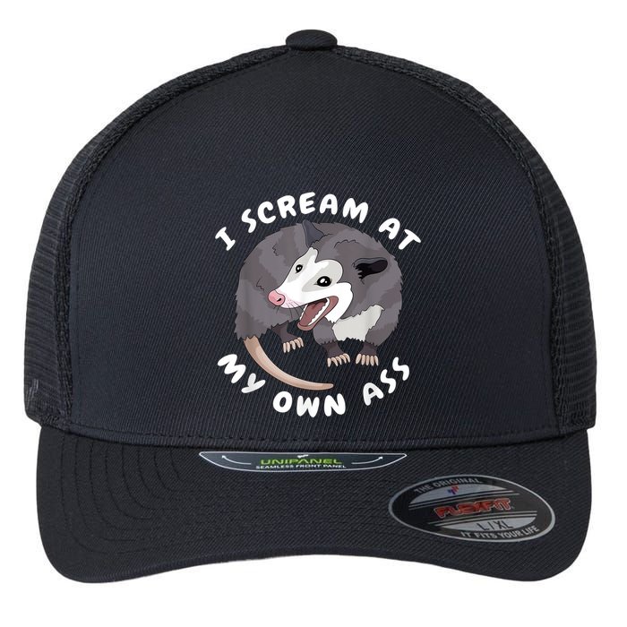 Funny Possum I Scream At My Own Trash Cat Opossum Meme Flexfit Unipanel Trucker Cap