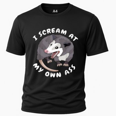 Funny Possum I Scream At My Own Trash Cat Opossum Meme Performance Shirt