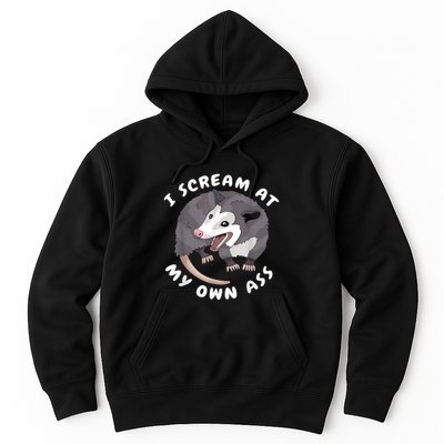 Funny Possum I Scream At My Own Trash Cat Opossum Meme Hoodie