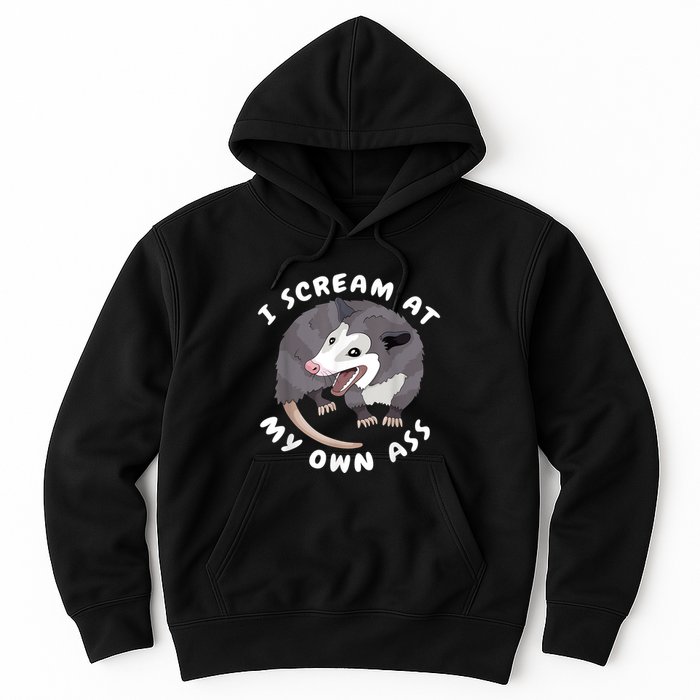 Funny Possum I Scream At My Own Trash Cat Opossum Meme Hoodie