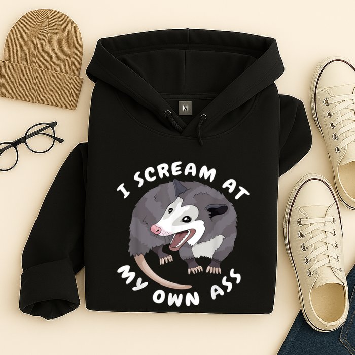 Funny Possum I Scream At My Own Trash Cat Opossum Meme Hoodie