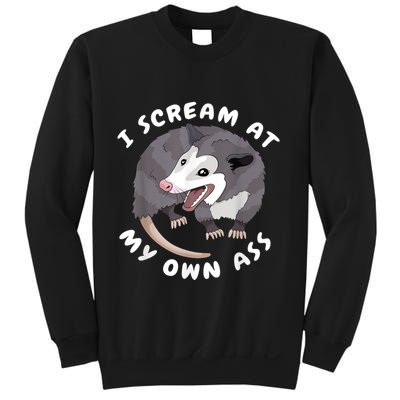 Funny Possum I Scream At My Own Trash Cat Opossum Meme Sweatshirt