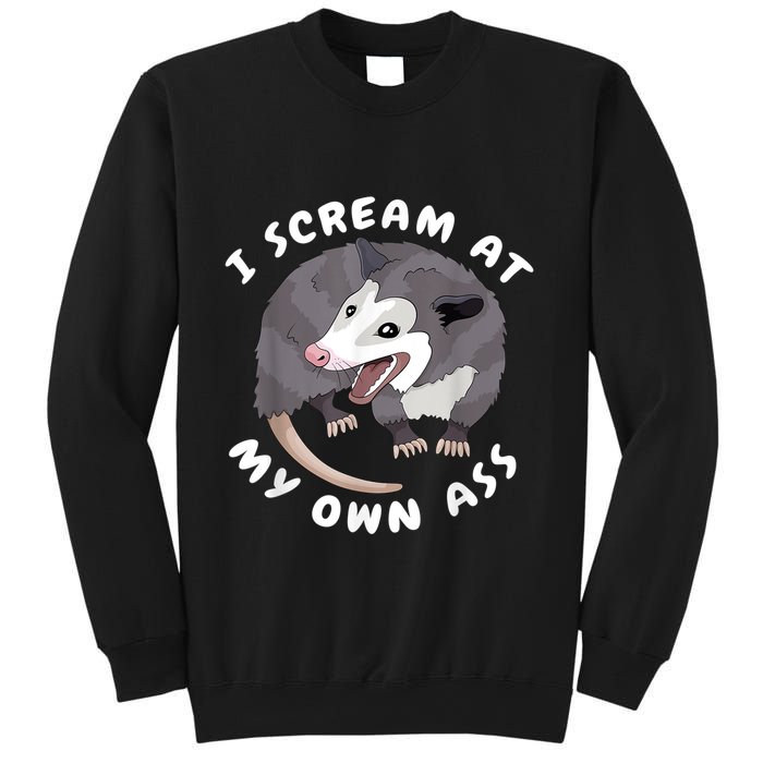 Funny Possum I Scream At My Own Trash Cat Opossum Meme Sweatshirt