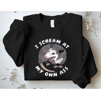 Funny Possum I Scream At My Own Trash Cat Opossum Meme Sweatshirt