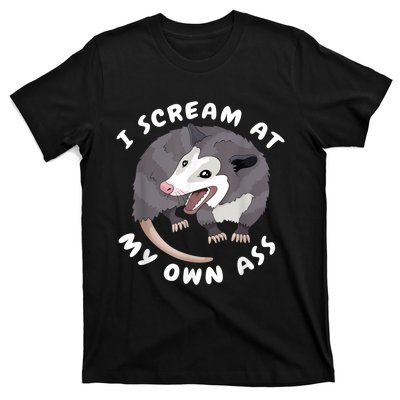 Funny Possum I Scream At My Own Trash Cat Opossum Meme T-Shirt