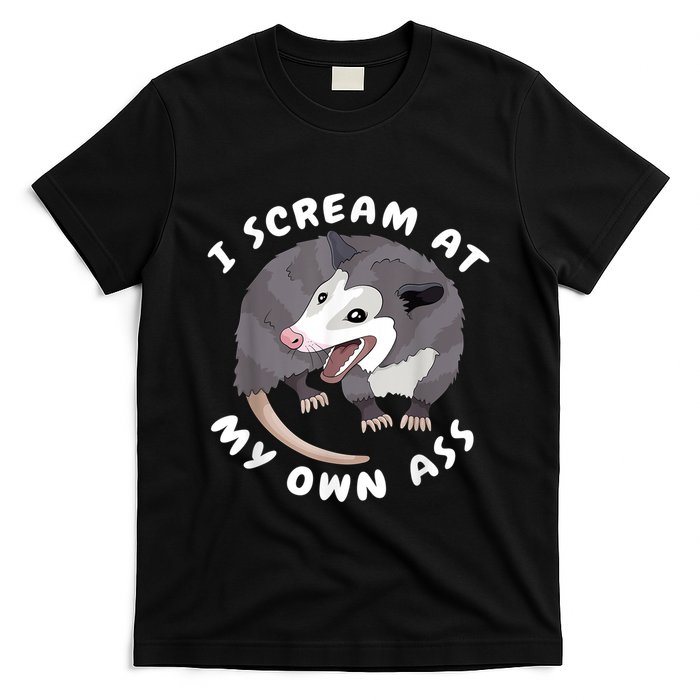 Funny Possum I Scream At My Own Trash Cat Opossum Meme T-Shirt