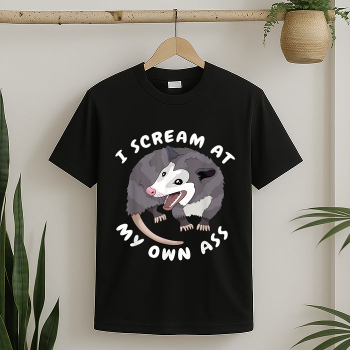 Funny Possum I Scream At My Own Trash Cat Opossum Meme T-Shirt