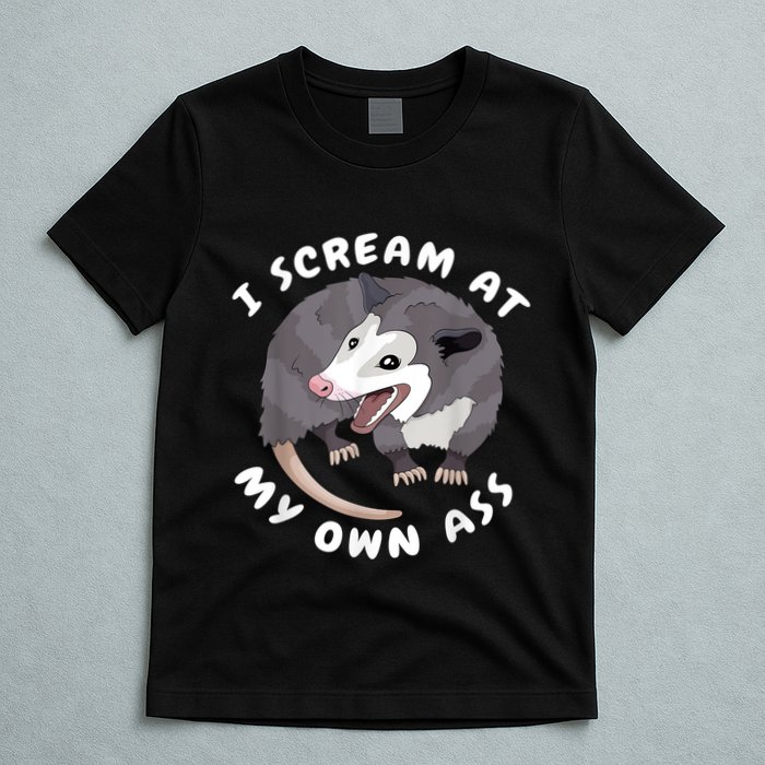 Funny Possum I Scream At My Own Trash Cat Opossum Meme T-Shirt