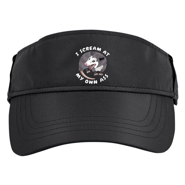 Funny Possum I Scream At My Own Trash Cat Opossum Meme Adult Drive Performance Visor