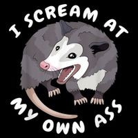 Funny Possum I Scream At My Own Trash Cat Opossum Meme Bucket Hat