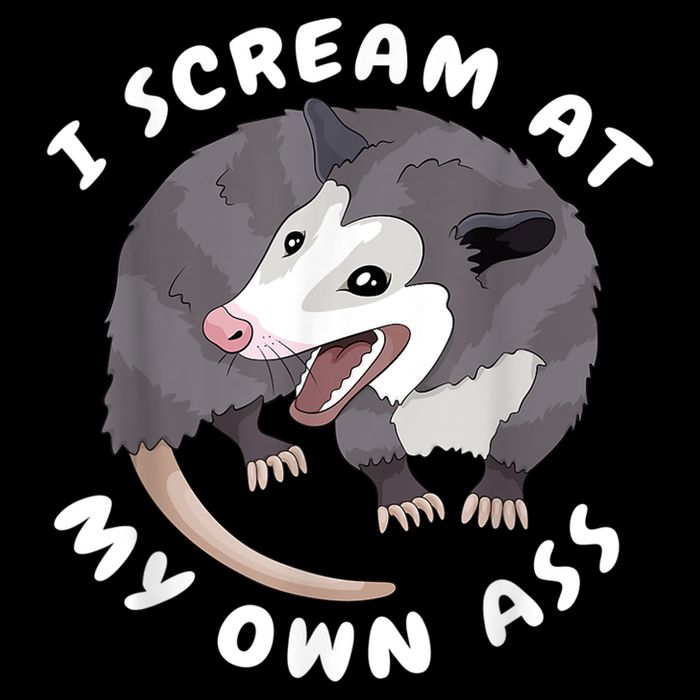 Funny Possum I Scream At My Own Trash Cat Opossum Meme Bucket Hat