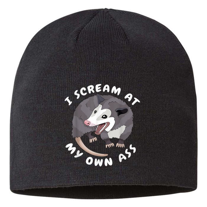 Funny Possum I Scream At My Own Trash Cat Opossum Meme Sustainable Beanie