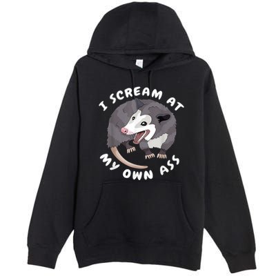 Funny Possum I Scream At My Own Trash Cat Opossum Meme Premium Pullover Hoodie