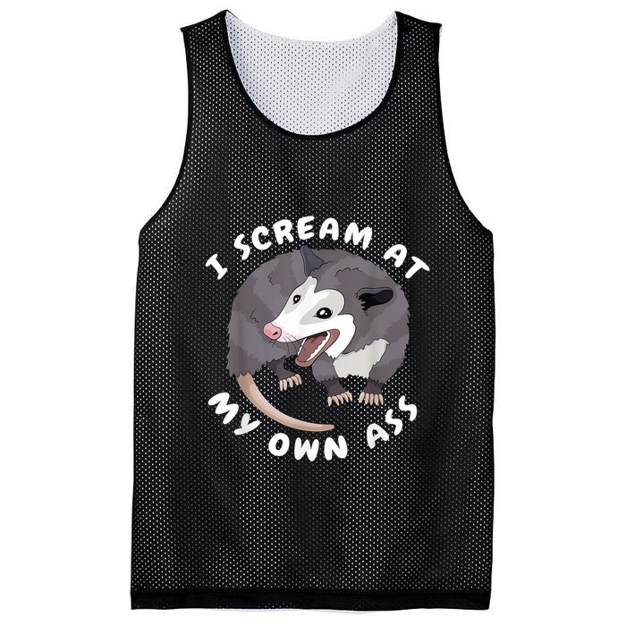 Funny Possum I Scream At My Own Trash Cat Opossum Meme Mesh Reversible Basketball Jersey Tank
