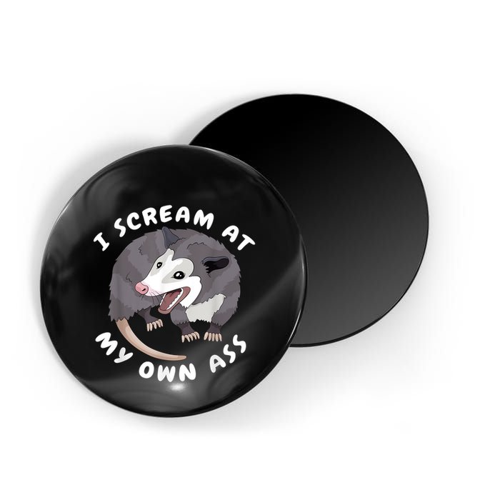 Funny Possum I Scream At My Own Trash Cat Opossum Meme Magnet