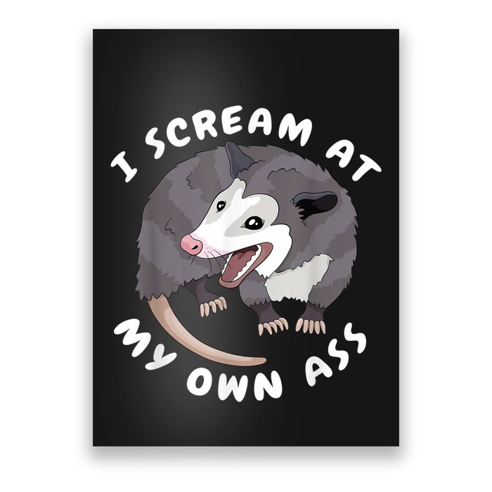 Funny Possum I Scream At My Own Trash Cat Opossum Meme Poster