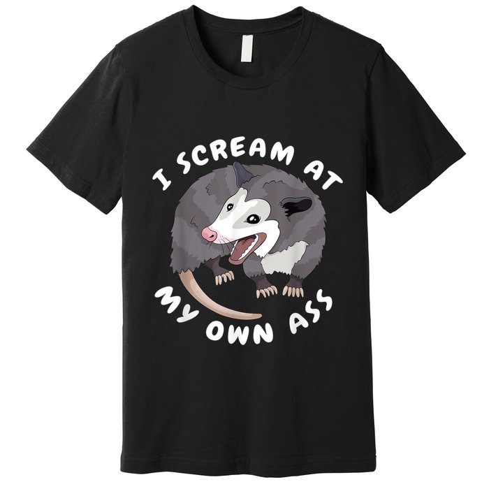 Funny Possum I Scream At My Own Trash Cat Opossum Meme Premium T-Shirt