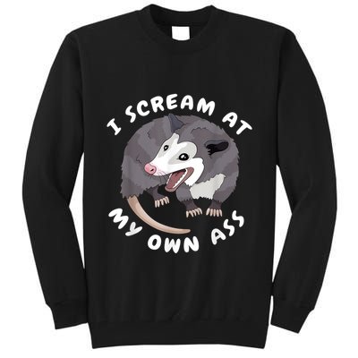 Funny Possum I Scream At My Own Trash Cat Opossum Meme Tall Sweatshirt