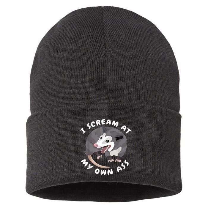 Funny Possum I Scream At My Own Trash Cat Opossum Meme Sustainable Knit Beanie