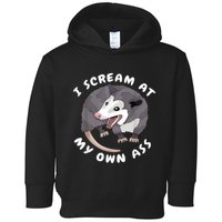 Funny Possum I Scream At My Own Trash Cat Opossum Meme Toddler Hoodie