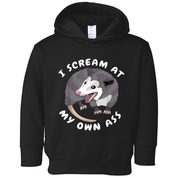 Funny Possum I Scream At My Own Trash Cat Opossum Meme Toddler Hoodie
