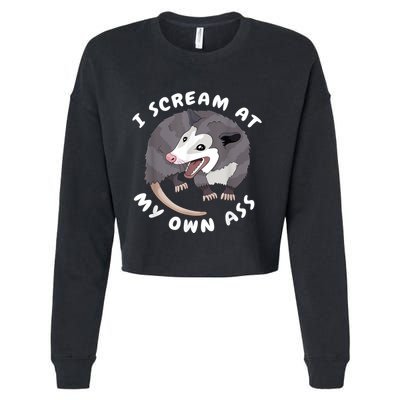 Funny Possum I Scream At My Own Trash Cat Opossum Meme Cropped Pullover Crew