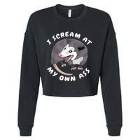 Funny Possum I Scream At My Own Trash Cat Opossum Meme Cropped Pullover Crew