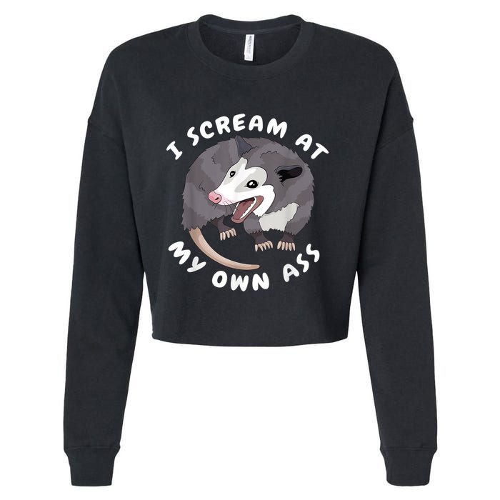 Funny Possum I Scream At My Own Trash Cat Opossum Meme Cropped Pullover Crew
