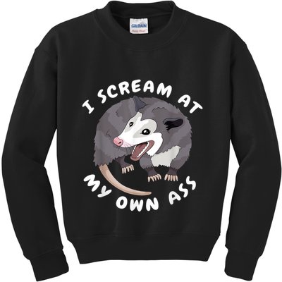 Funny Possum I Scream At My Own Trash Cat Opossum Meme Kids Sweatshirt