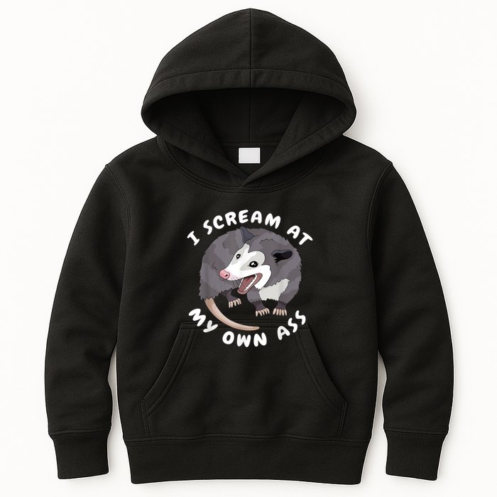 Funny Possum I Scream At My Own Trash Cat Opossum Meme Kids Hoodie