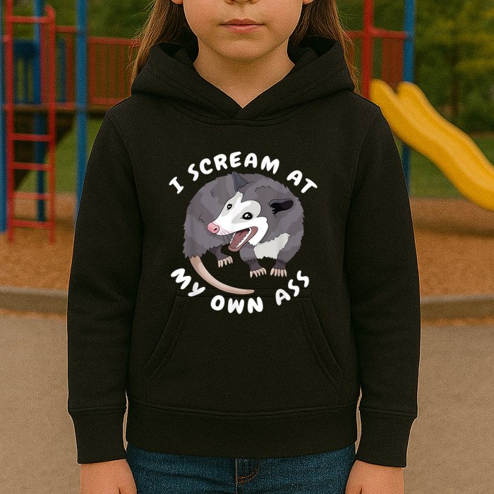 Funny Possum I Scream At My Own Trash Cat Opossum Meme Kids Hoodie