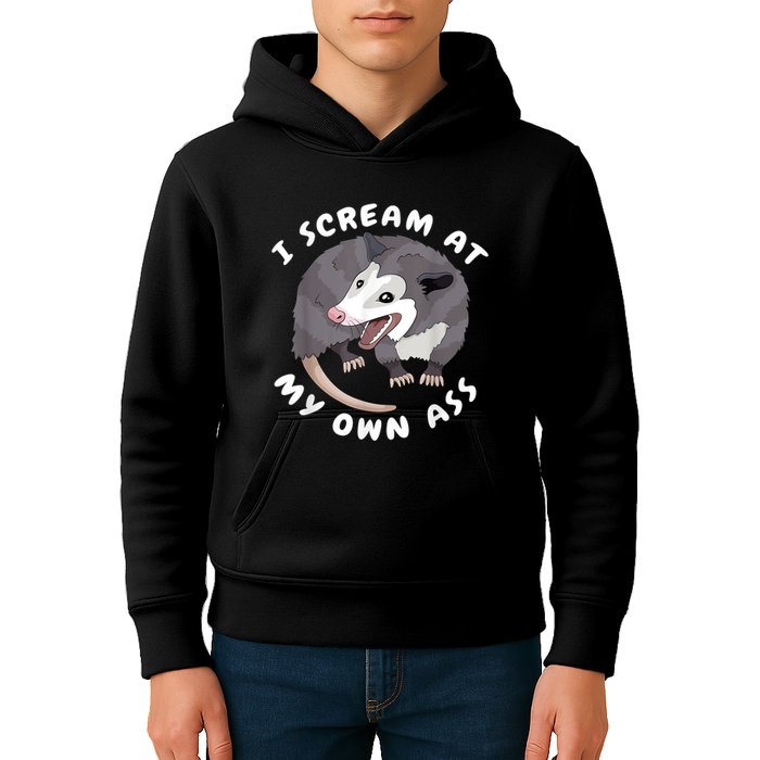 Funny Possum I Scream At My Own Trash Cat Opossum Meme Kids Hoodie