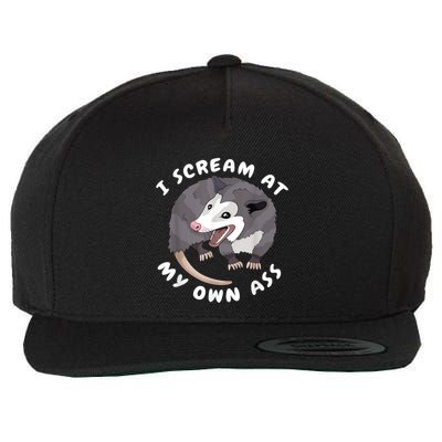 Funny Possum I Scream At My Own Trash Cat Opossum Meme Wool Snapback Cap