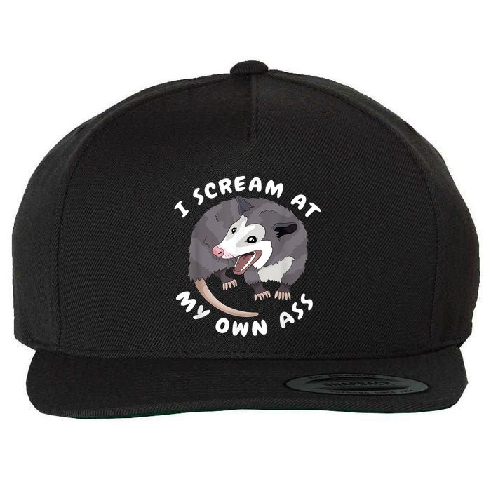 Funny Possum I Scream At My Own Trash Cat Opossum Meme Wool Snapback Cap