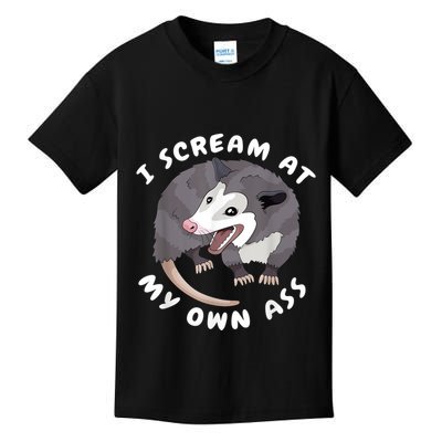 Funny Possum I Scream At My Own Trash Cat Opossum Meme Kids T-Shirt