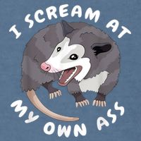 Funny Possum I Scream At My Own Trash Cat Opossum Meme Garment-Dyed Sweatshirt