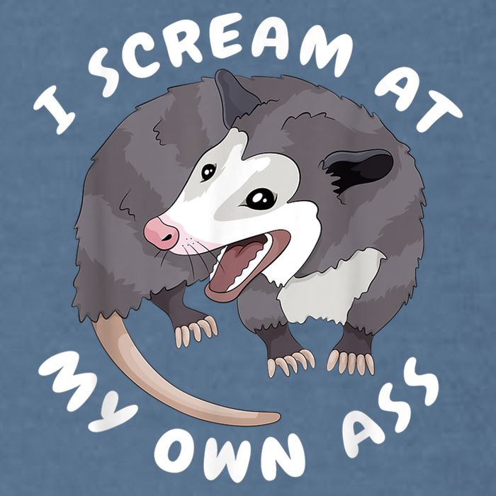 Funny Possum I Scream At My Own Trash Cat Opossum Meme Garment-Dyed Sweatshirt