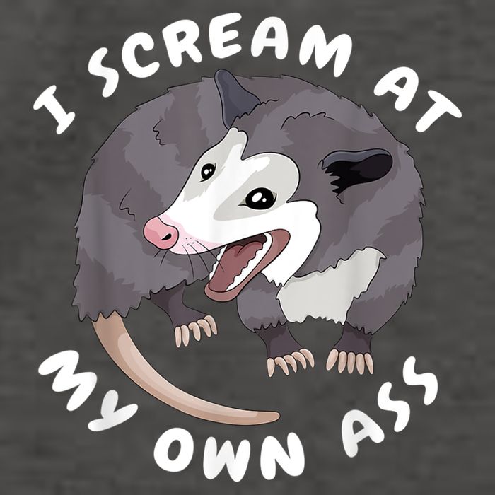 Funny Possum I Scream At My Own Trash Cat Opossum Meme Vector Backpack