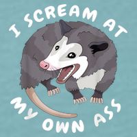 Funny Possum I Scream At My Own Trash Cat Opossum Meme Sueded Cloud Jersey T-Shirt