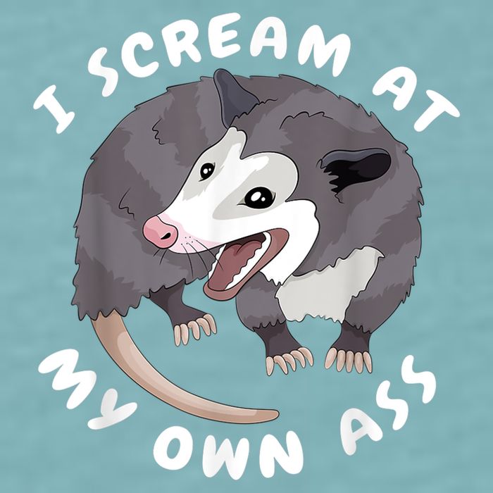 Funny Possum I Scream At My Own Trash Cat Opossum Meme Sueded Cloud Jersey T-Shirt