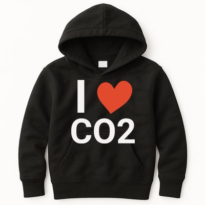 Funny Politically Incorrect Climate Hoax Kids Hoodie