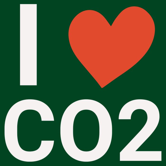 Funny Politically Incorrect Climate Hoax Button