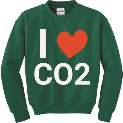 Funny Politically Incorrect Climate Hoax Kids Sweatshirt